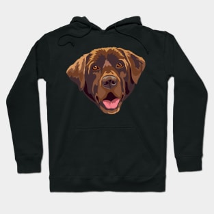 Chocolate Labrador Hoodie